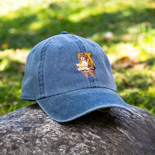 vintage-shapka-s-kozirka-siva Vintage blue baseball cap with an embroidered bear holding a map, placed on a rock in an outdoor setting.