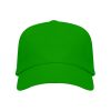 Front view of fern green GO7041C children's five-panel promotional cap
